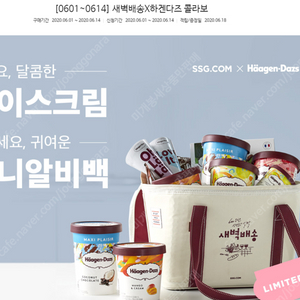 새상품) 하겐다즈 보냉 알비백 택배비별도