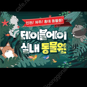 테이블에이 6회 입장권 판매합니다.