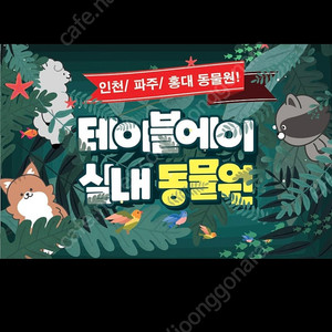 테이블에이 6회 입장권 판매합니다.
