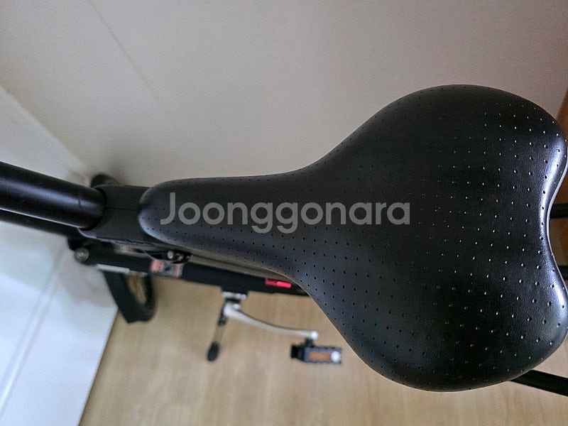 스트라이다 SX QR+ 18인치 블랙 팝니다.--2
