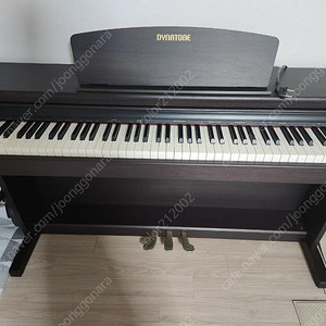 SLP-250H