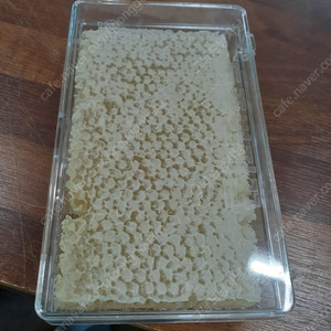 국내산 용기 벌집꿀 600그램 팝니다
