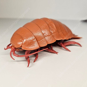 생물대도감 단고무시 카이요도 심해생물 피규어 바티노무스 기간테우스