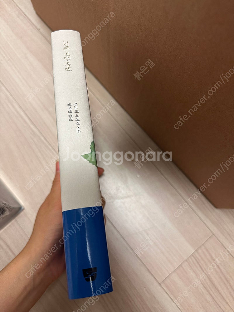 <그해, 여름 손님> 절판 양장본 (콜미바이유어네임)--2