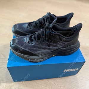호카 스피드고트5 gtx