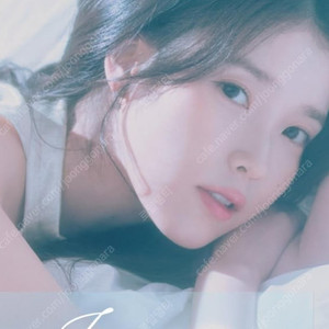 아이유 콘서트 티켓 양도
