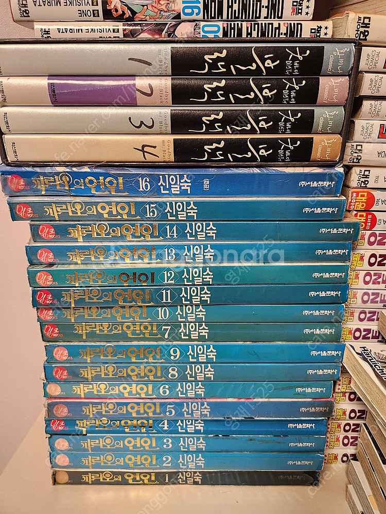 원피스. 카케구루이. 파라오의연인. 굿바이 미스터블랙....--1