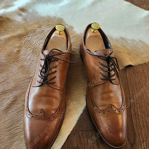 알도 ALDO 옥스포드화 9K 275