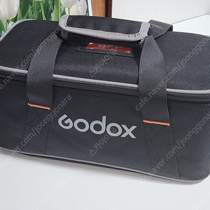 고독스 Godox Flash BFP Kit (스팟라이트) + 48mm, BD-10 반도어세트