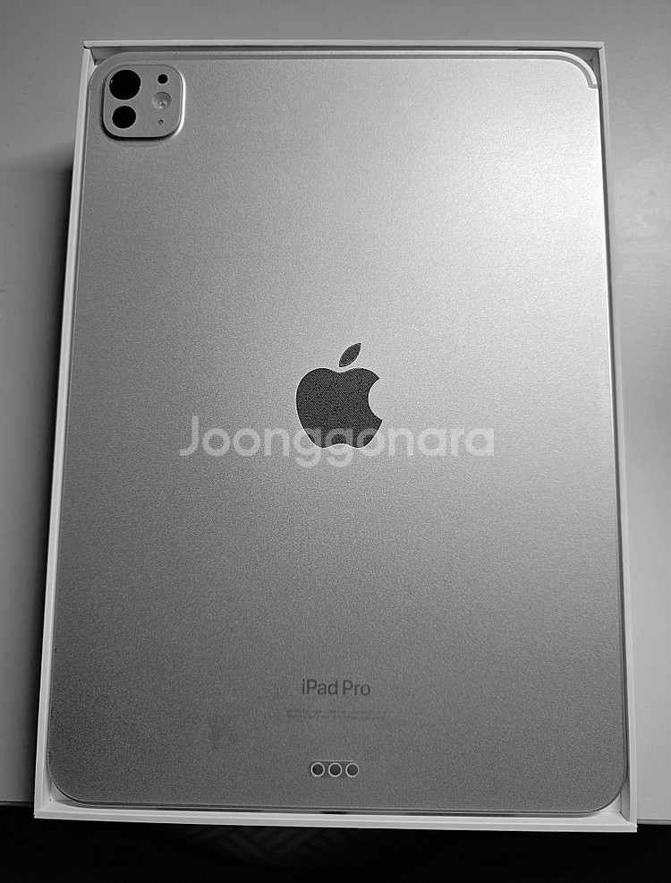 아이패드 프로 11 M4칩 wifi 256gb 실버 (...--6
