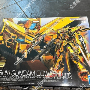 rg 아카츠키 외 팝니다