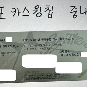 <최저가> 8월 30일 실리카겔 콘서트 스탠딩 2/3연석 단석