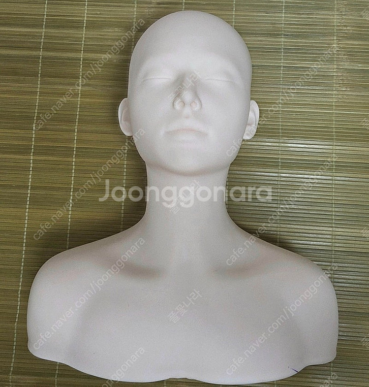 피부실기 데콜테 마네킹--1