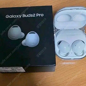 버즈2 프로 화이트