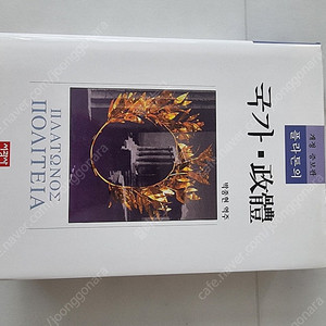 플라톤의 국가 정체