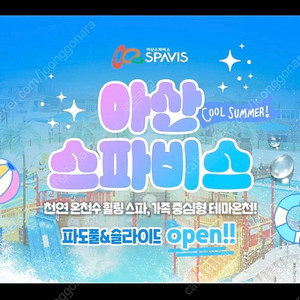 아산 스파비스 극성수기 사용가능 1인종일권+구명조끼대여권