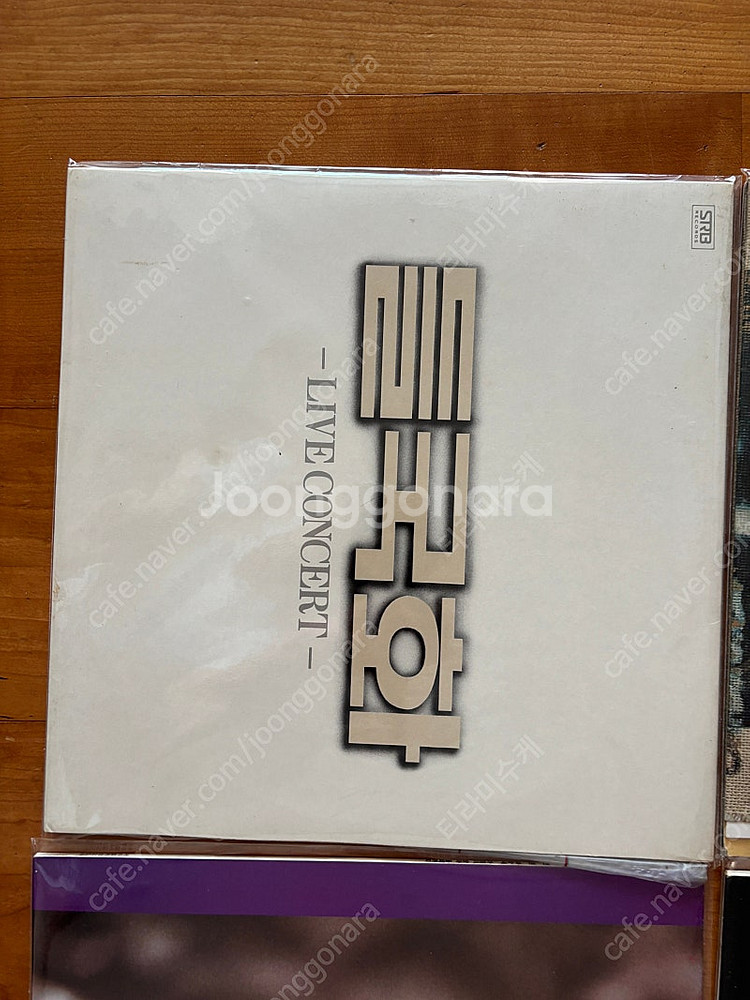 전인권 들국화 LP 레코드판--4