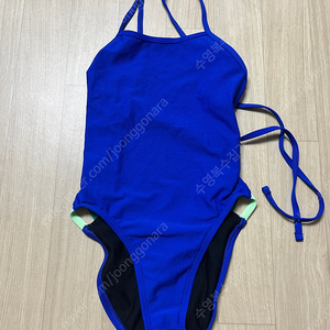 졸린 블루베리 개빈 26