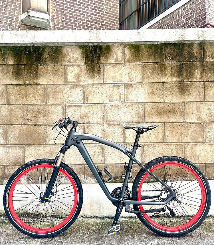BMW 크루즈 M MTB--0