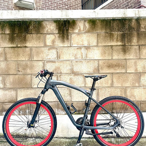 BMW 크루즈 M MTB