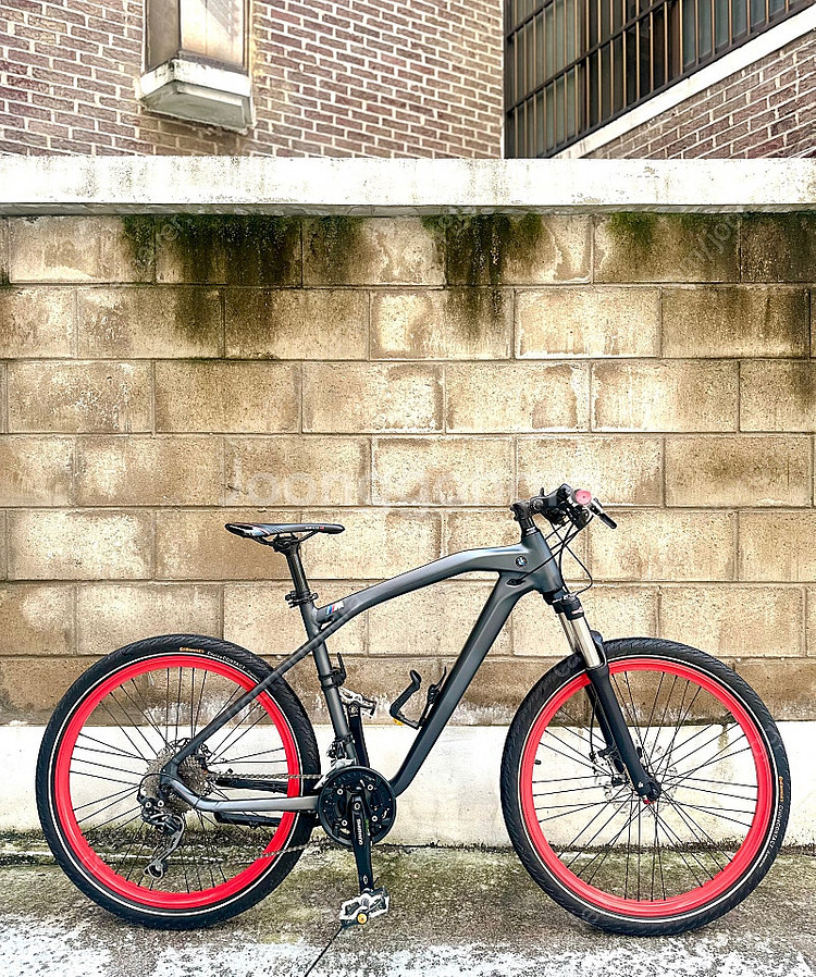 BMW 크루즈 M MTB--1