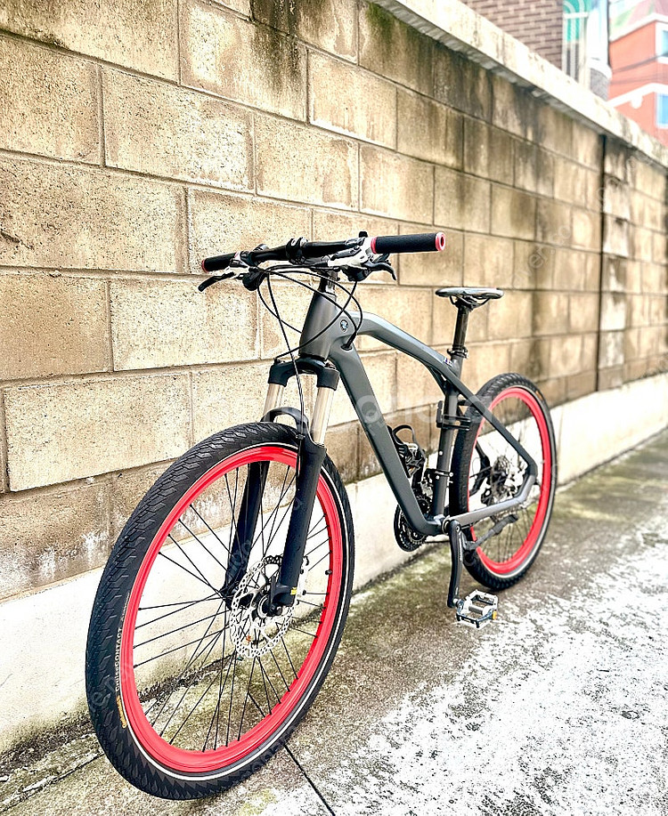 BMW 크루즈 M MTB--2