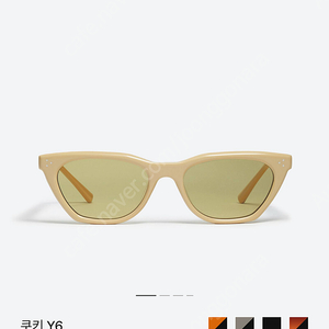 젠틀몬스터 쿠키