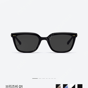 젠틀몬스터 선글라스 브리즈비 BREEZEBE