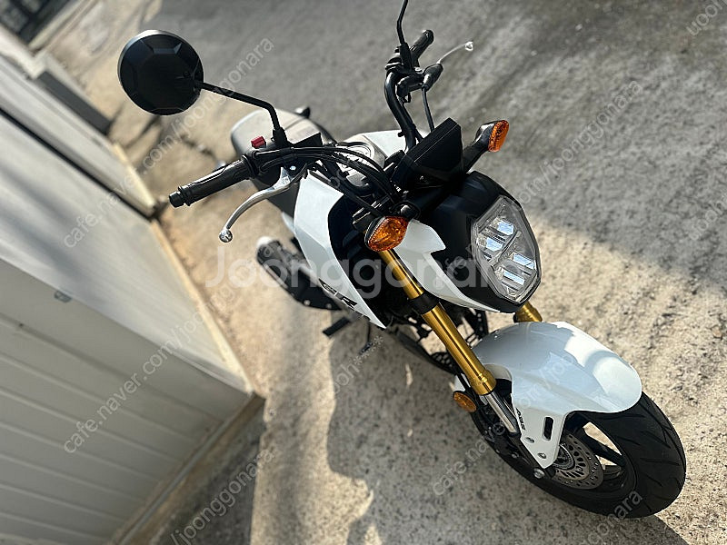 24년식 MSX-125그롬 / 1415KM / 285만...--4