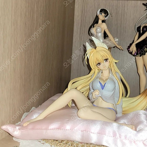 코토부키야 카노콘 치즈루
