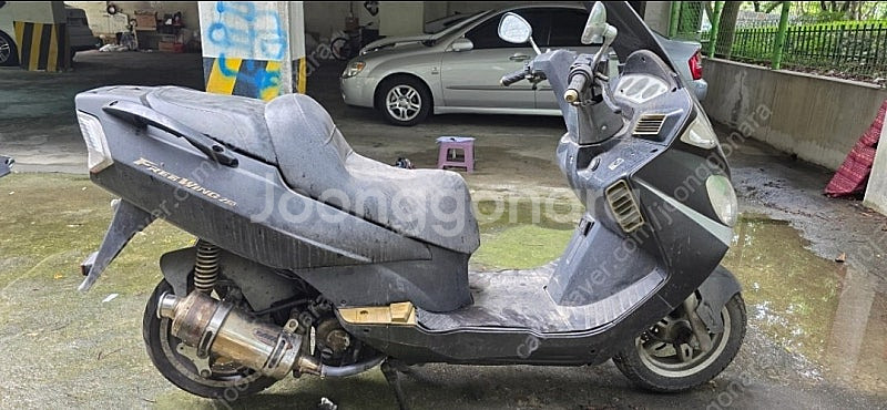 프리윙250--0