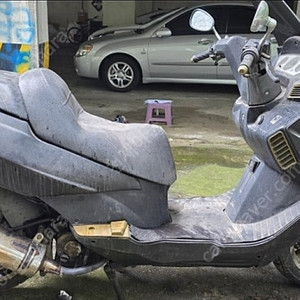 프리윙250