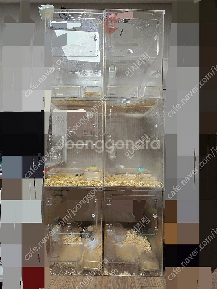 피그미다람쥐 케이지,용품 판매합니다.--0
