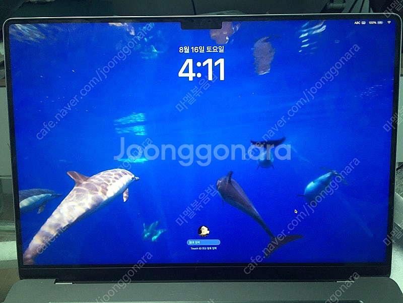 맥북 프로 16형 (2021, M1) 16GB, SSD...--1