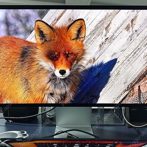 애플 스튜디오 디스플레이 Apple Studio Display (기본형)