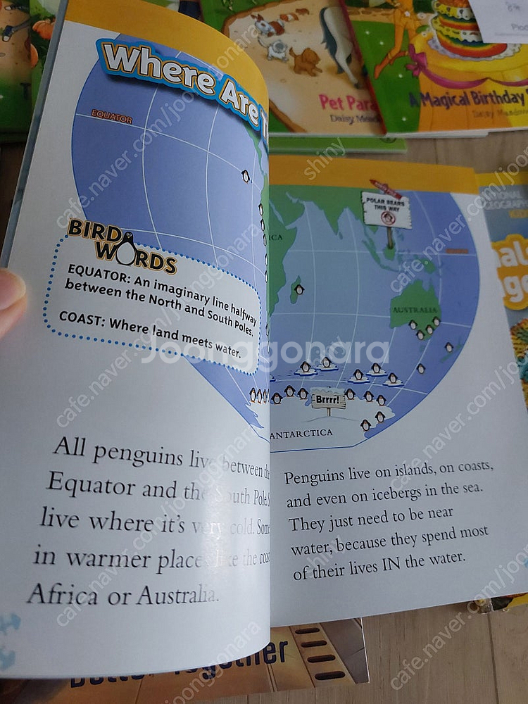 옥스포드 리딩트리 풀세트와 챕터북들--1