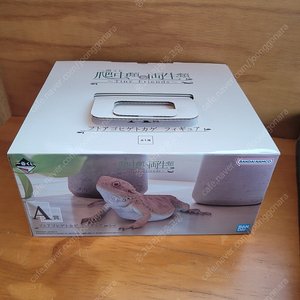 파충류 제일복권 이치방쿠지 양서류 A상 비어디 드래곤 피규어 미개봉