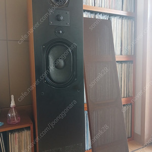 Tdl studio monitor 스피커