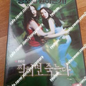 판매) 미개봉초판디브이디6매일과로만18만-스펙트럼본여고괴담2편1씨디,찍히면죽는다,비밀외 순애보,가벼운잠,슬리핑뷰티