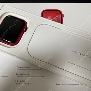 애플워치 9 45mm 셀룰러 (거의 새 것)