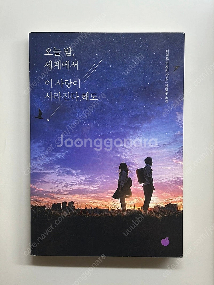 오늘 밤 이 세계에서 이 사랑이 사라진다 해도 소설책 ...--0