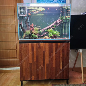 3자 광폭하이 멀바우 수족관 판매합니다