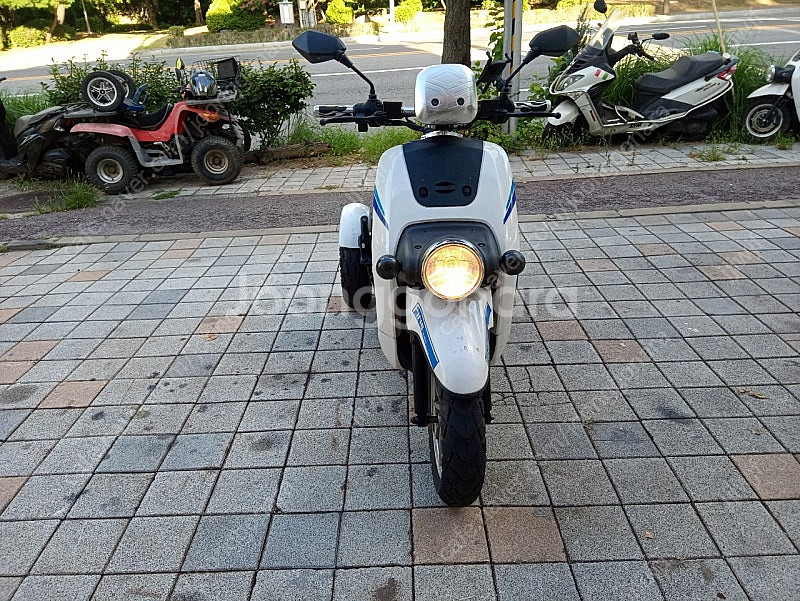 전기삼륜차 전기삼발이 윈드k2 wind k2 성지기업--1