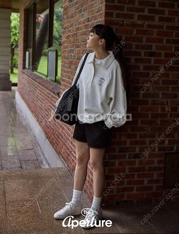 (가격내림)서쿠키,디애퍼처,드레곤블루스,시에,나일로라,...--9