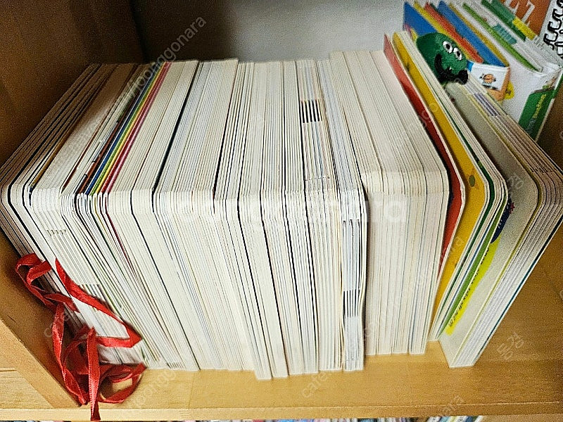 싱싱 잉글리쉬(싱싱펜 포함)씽씽잉글리쉬--8