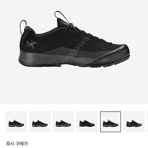 아크테릭스 컨실 FL 2 레더 고어텍스 블랙 240