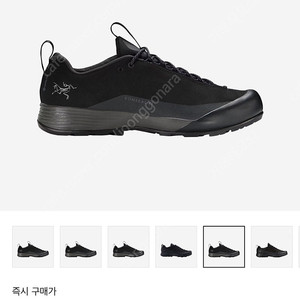 아크테릭스 컨실 FL 2 레더 고어텍스 블랙 240
