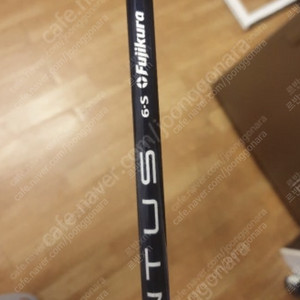 벤투스 블루 5s tr