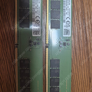 DDR5 5600 32g 2개