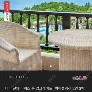 제주신라호텔 바다전망 디럭스3박 뷔페패키지